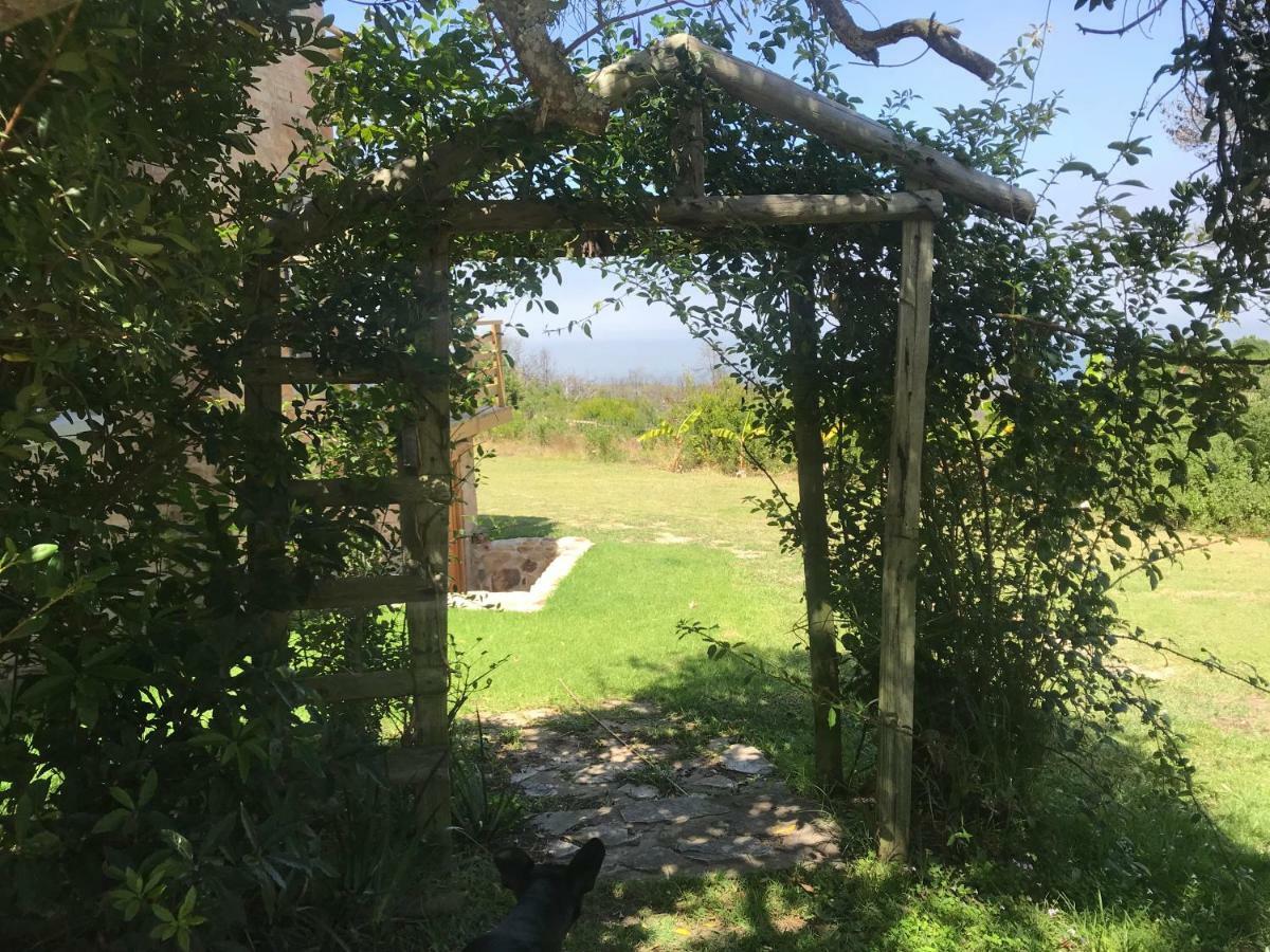 Trinity Farm Ocean View Cottage Plettenberg Bay Exterior foto